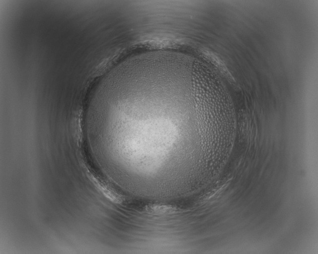 X0000076370590200610061100