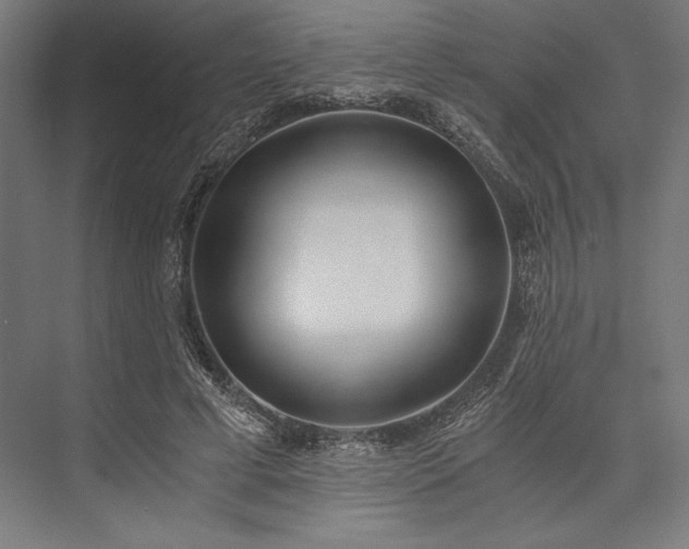 X0000076370593200610061100