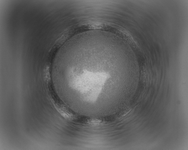 X0000076370598200610061100