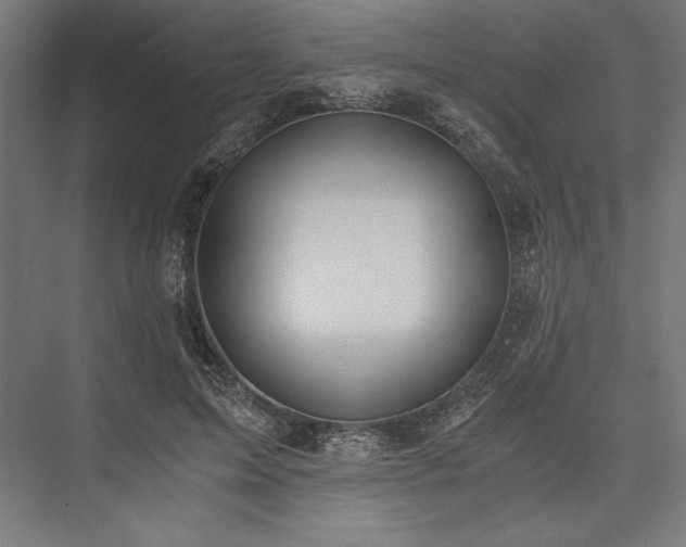 X0000076370599200610061100