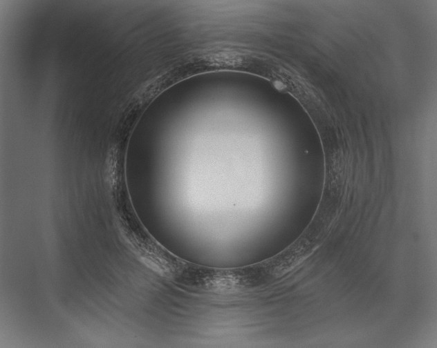 X0000076370600200610061100