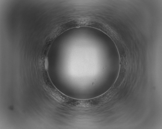 X0000076370601200610061100