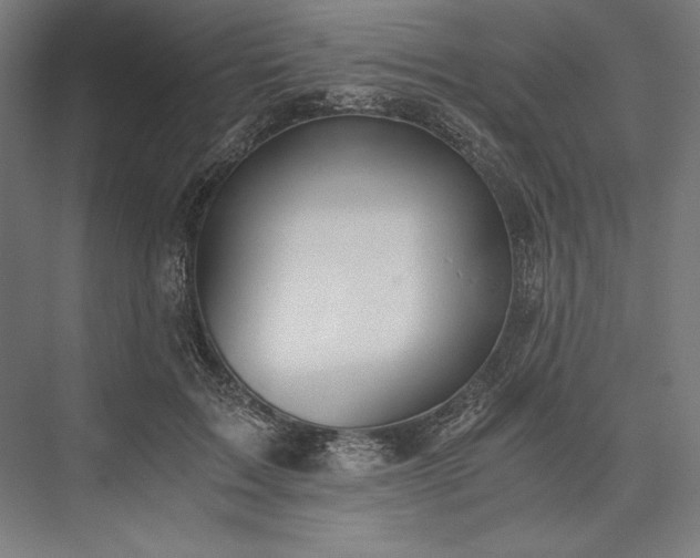 X0000076370603200610061100