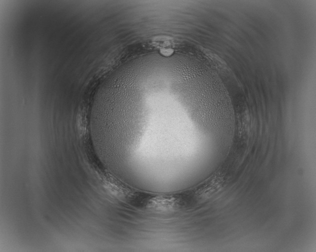 X0000076370606200610061100