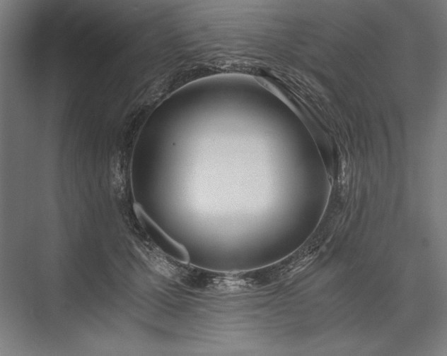 X0000076370607200610061100