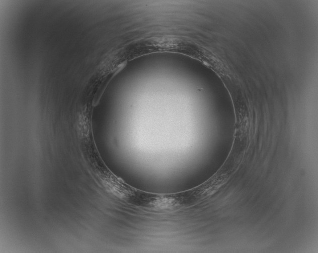 X0000076370609200610061100