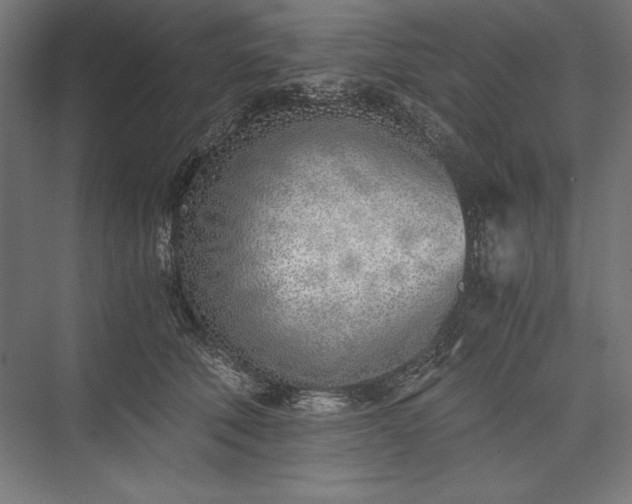 X0000076370610200610061100