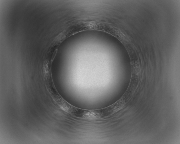 X0000076370611200610061100
