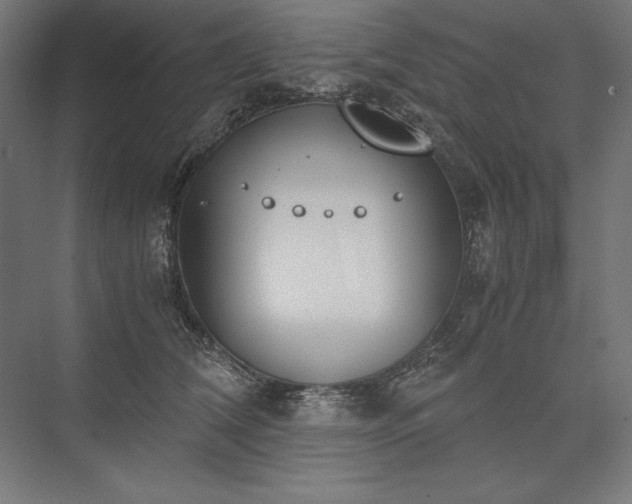 X0000076370612200610061100
