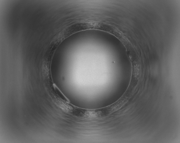X0000076370613200610061100