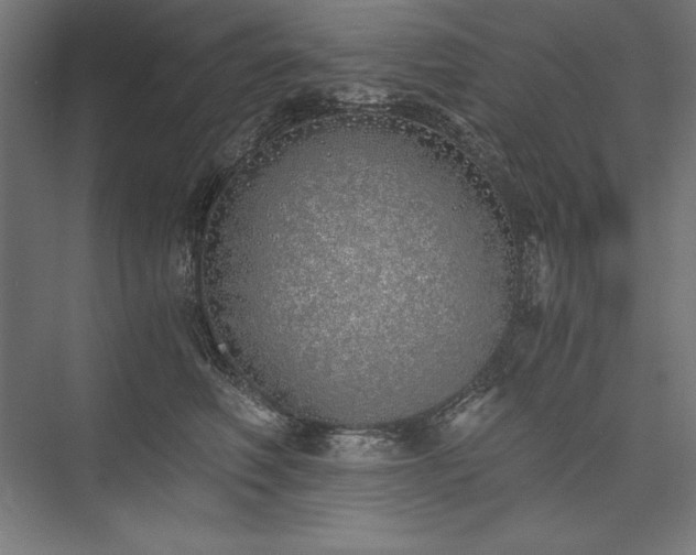 X0000076370614200610061100
