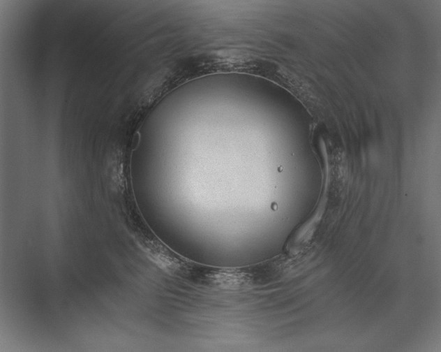 X0000076370615200610061100