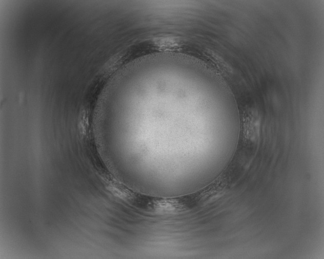 X0000076370618200610061100