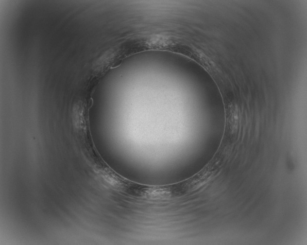 X0000076370619200610061100