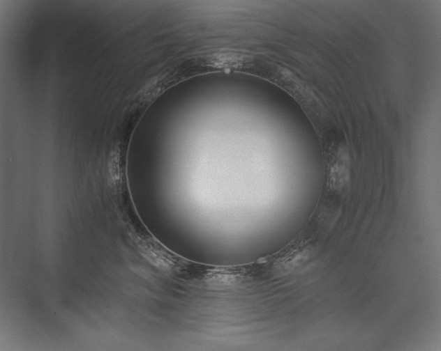 X0000076370620200610061100