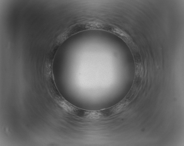 X0000076370621200610061100