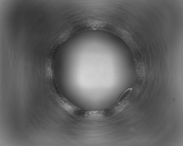 X0000076370622200610061100