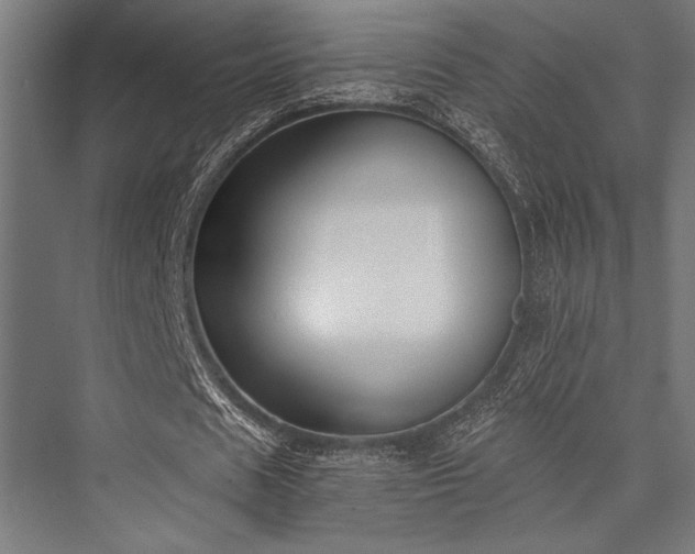 X0000076370625200610061059