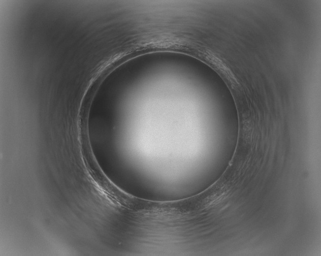 X0000076370626200610061059