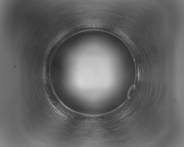 X0000076370627200610061059