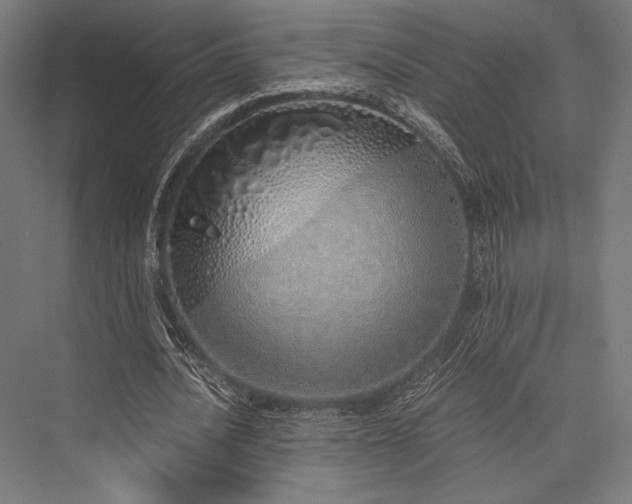 X0000076370628200610061059