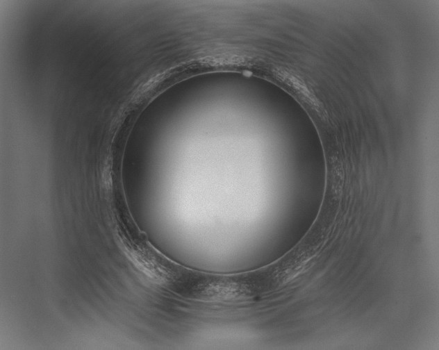 X0000076370631200610061059