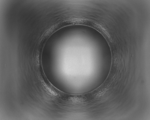 X0000076370633200610061059