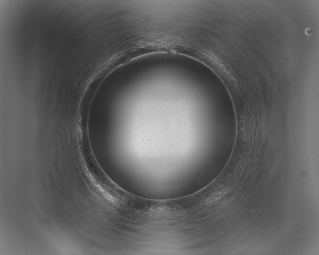 X0000076370634200610061059