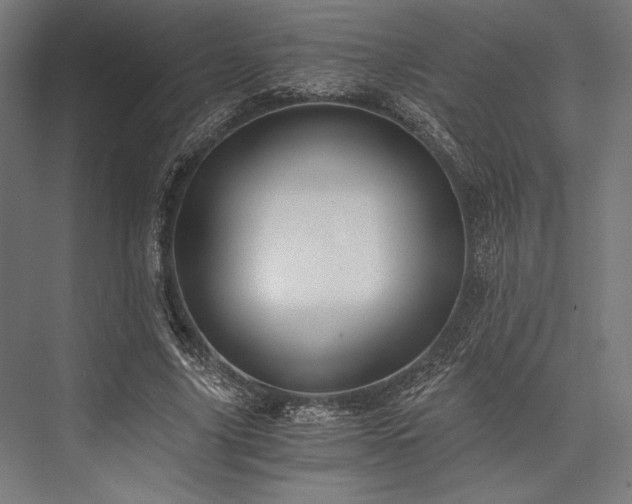 X0000076370635200610061059