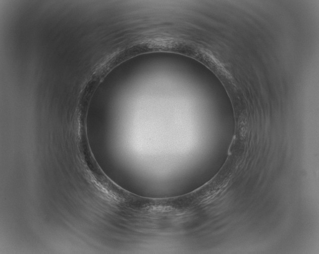 X0000076370637200610061059