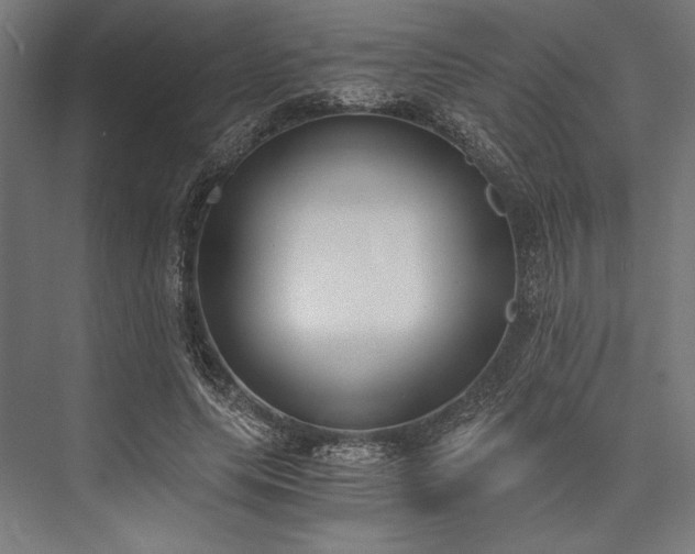 X0000076370639200610061059