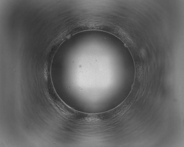 X0000076370644200610061059