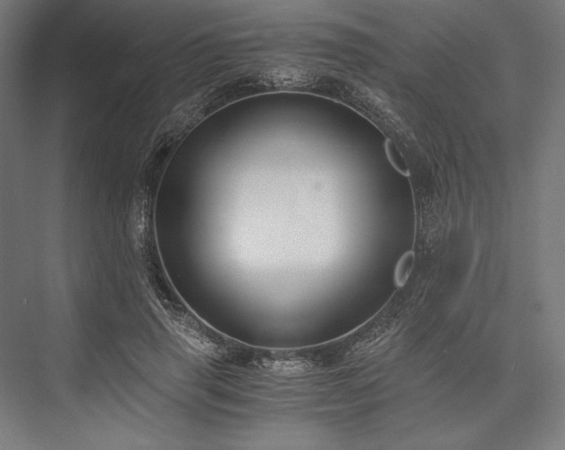 X0000076370645200610061059