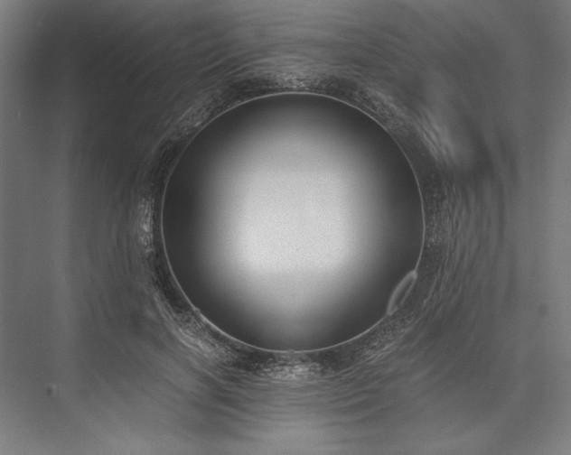 X0000076370646200610061059