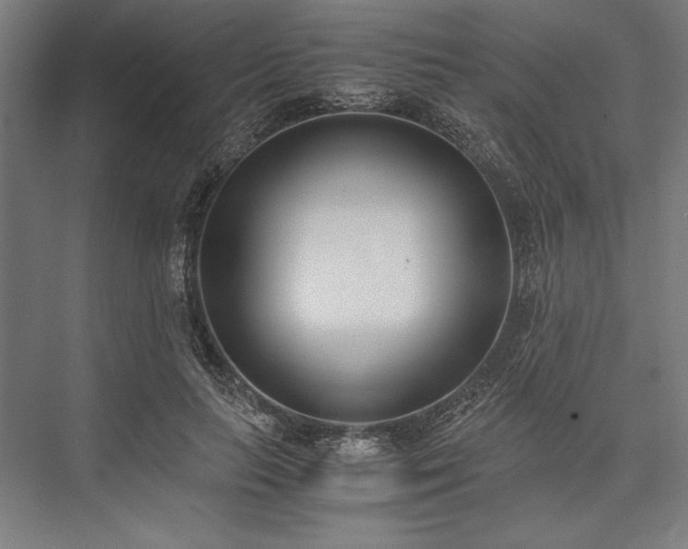 X0000076370647200610061059