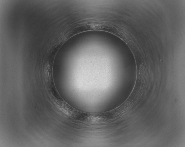X0000076370650200610061059