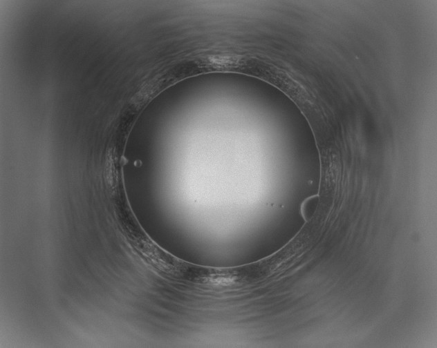 X0000076370651200610061059