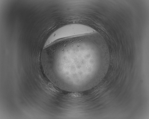 X0000076370652200610061059