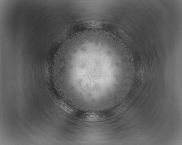 X0000076370658200610061100
