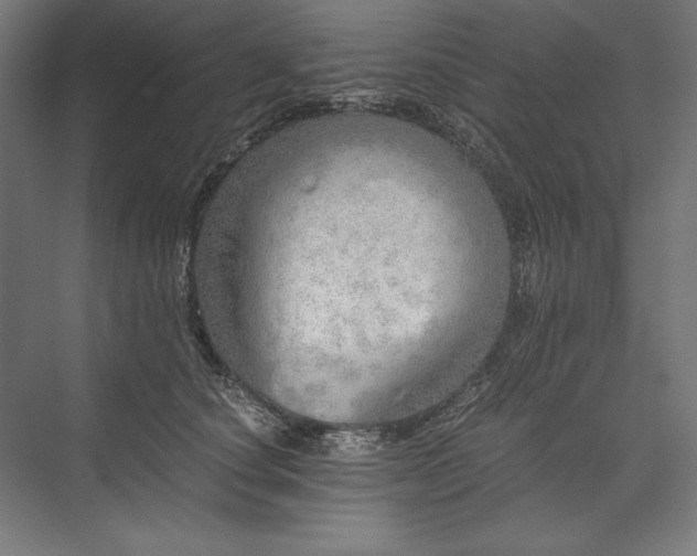 X0000076370660200610061100