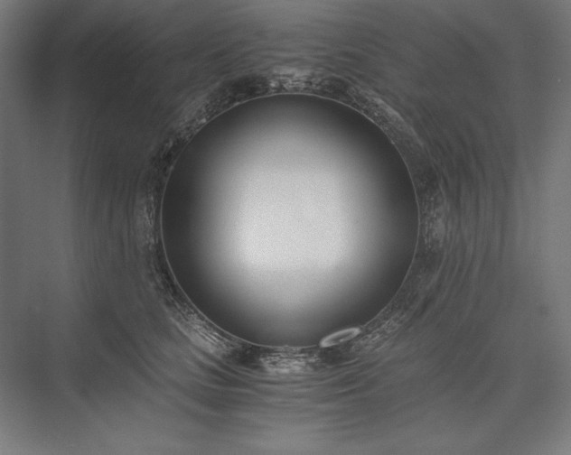 X0000076370661200610061100