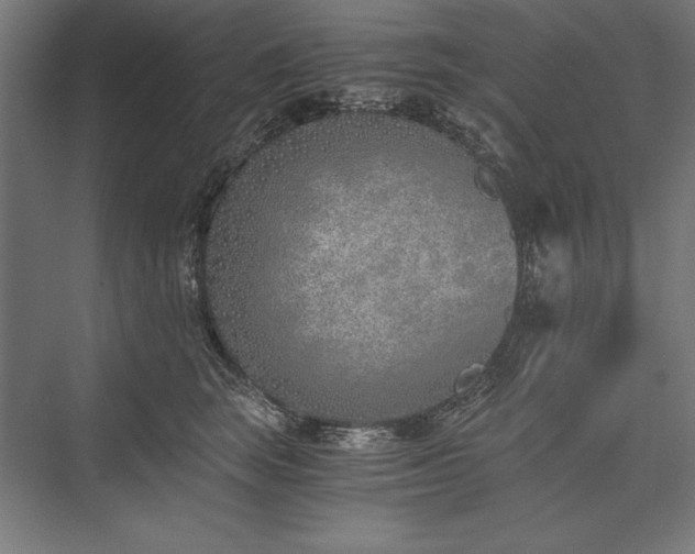X0000076370663200610061100