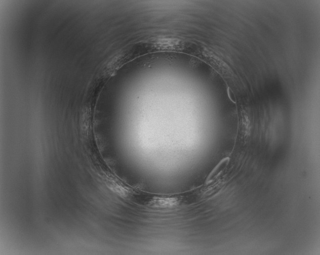 X0000076370665200610061100