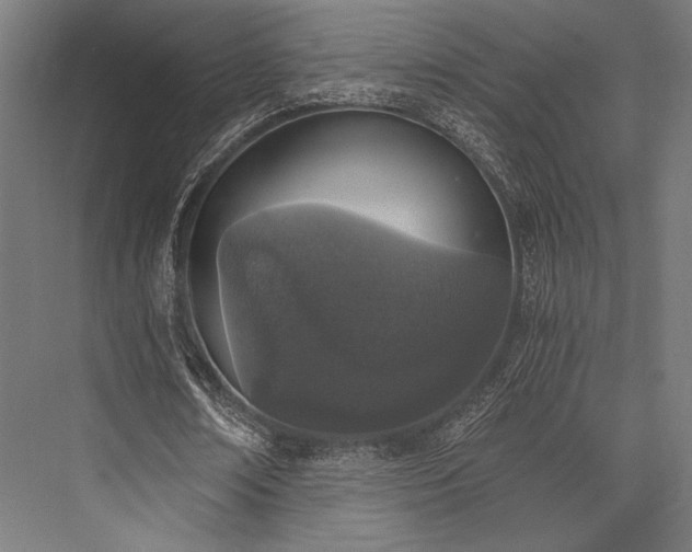 X0000076370674200610061059