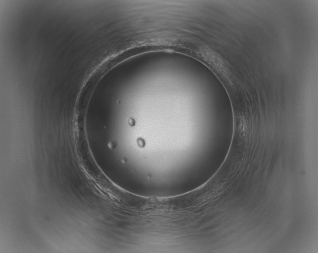 X0000076370676200610061059
