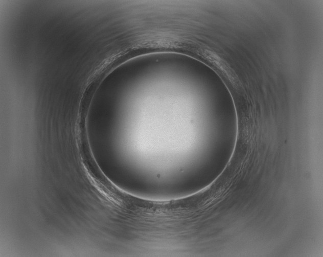 X0000076370677200610061059