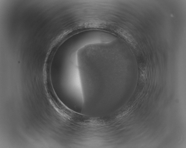 X0000076370678200610061059