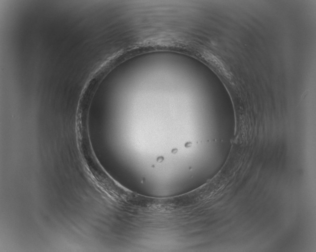 X0000076370680200610061059