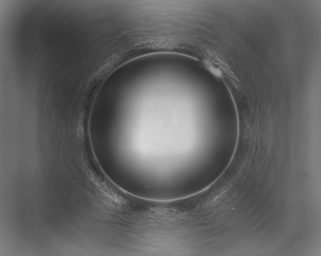 X0000076370681200610061059