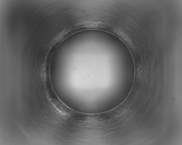 X0000076370682200610061059